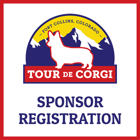Sponsor Registration
