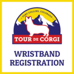 Wristband Registration